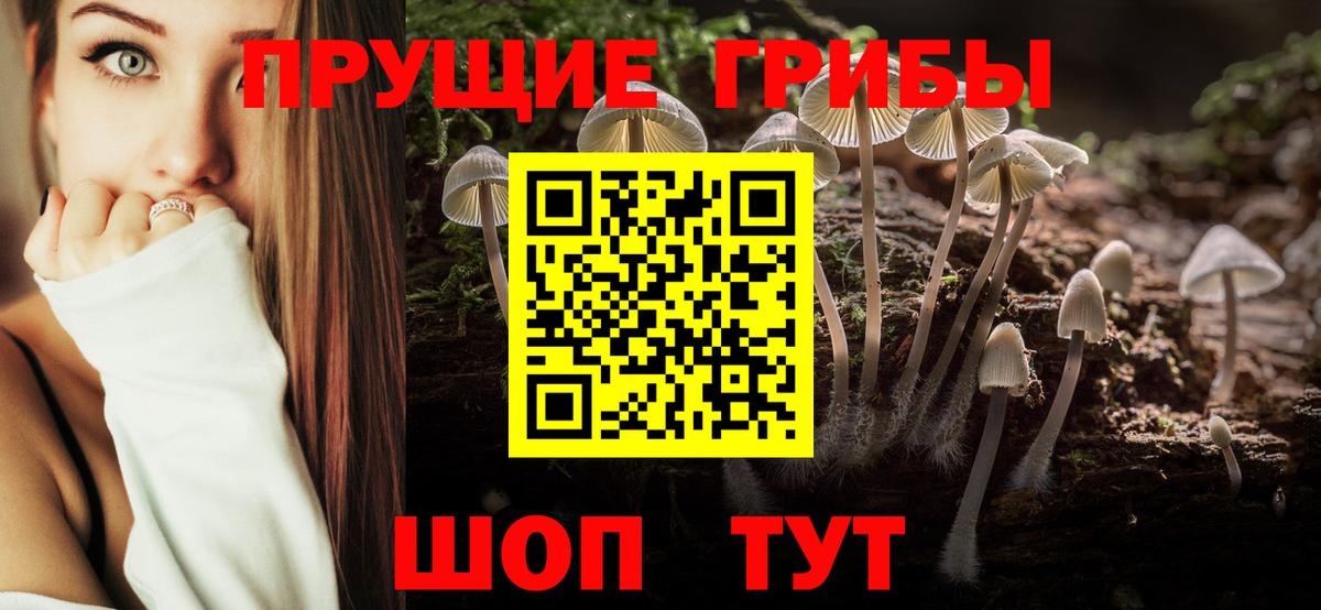 Галлюциногенные грибы Psilocybine cubensis Белореченск