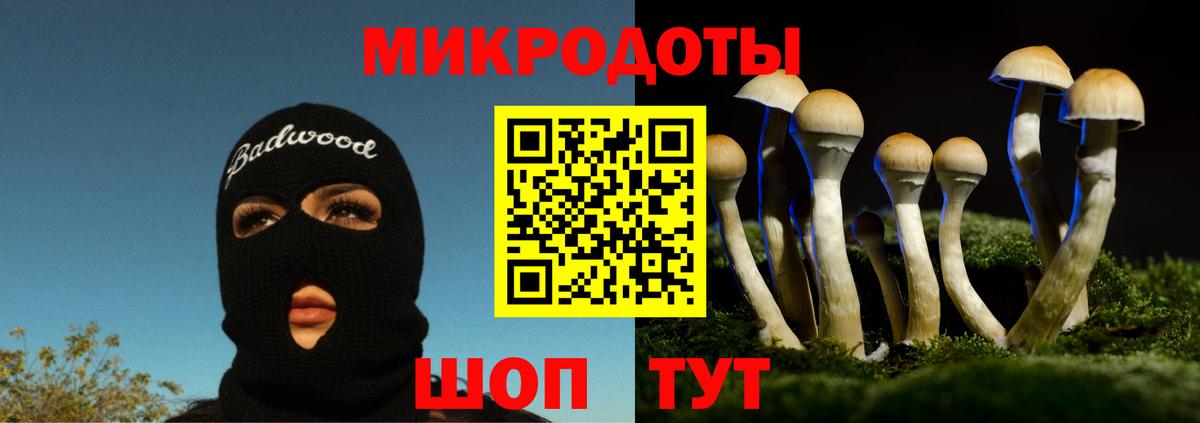 Галлюциногенные грибы прущие грибы  Вход с VPN  Белореченск 